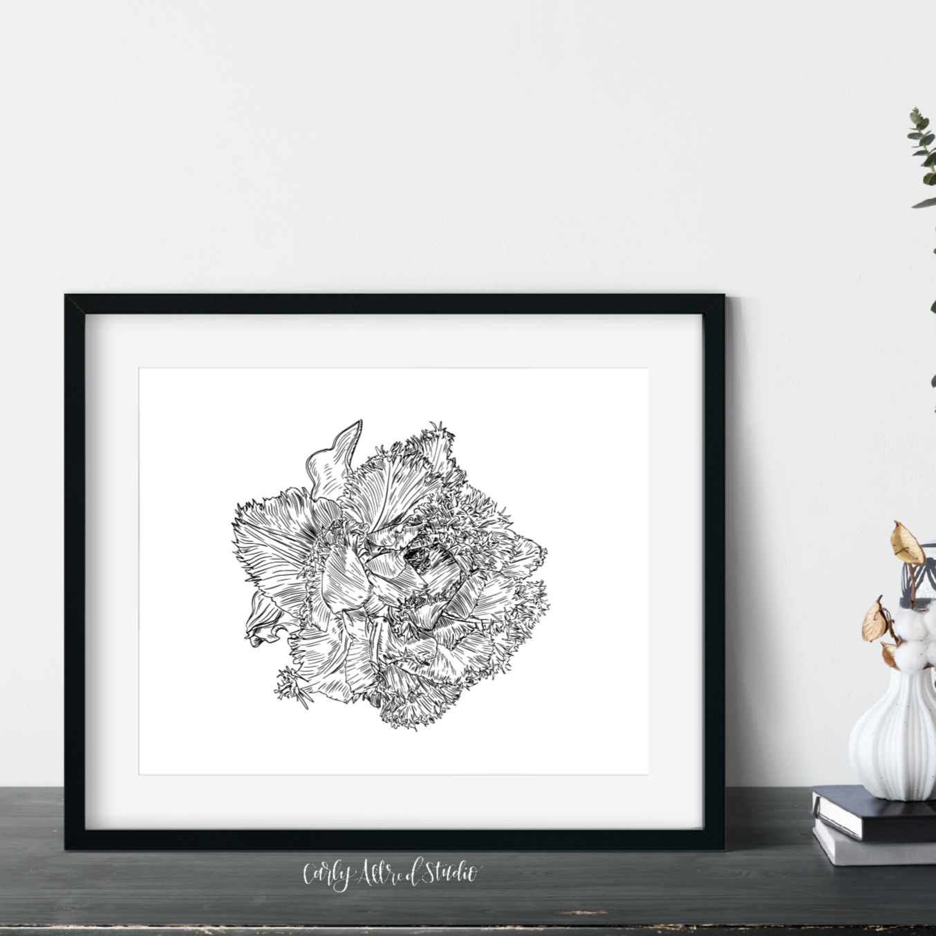 Fringed Tulip Flower Archival Print