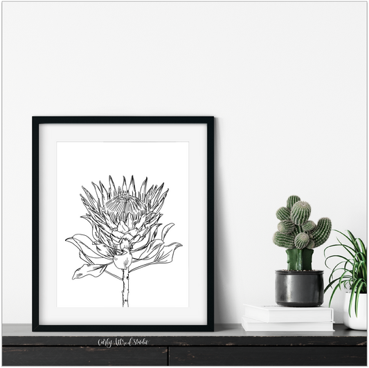 Protea Flower Archival Print
