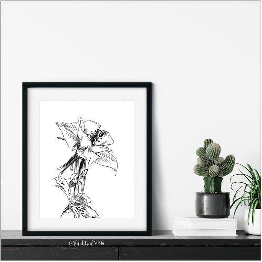 Columbine Archival Print