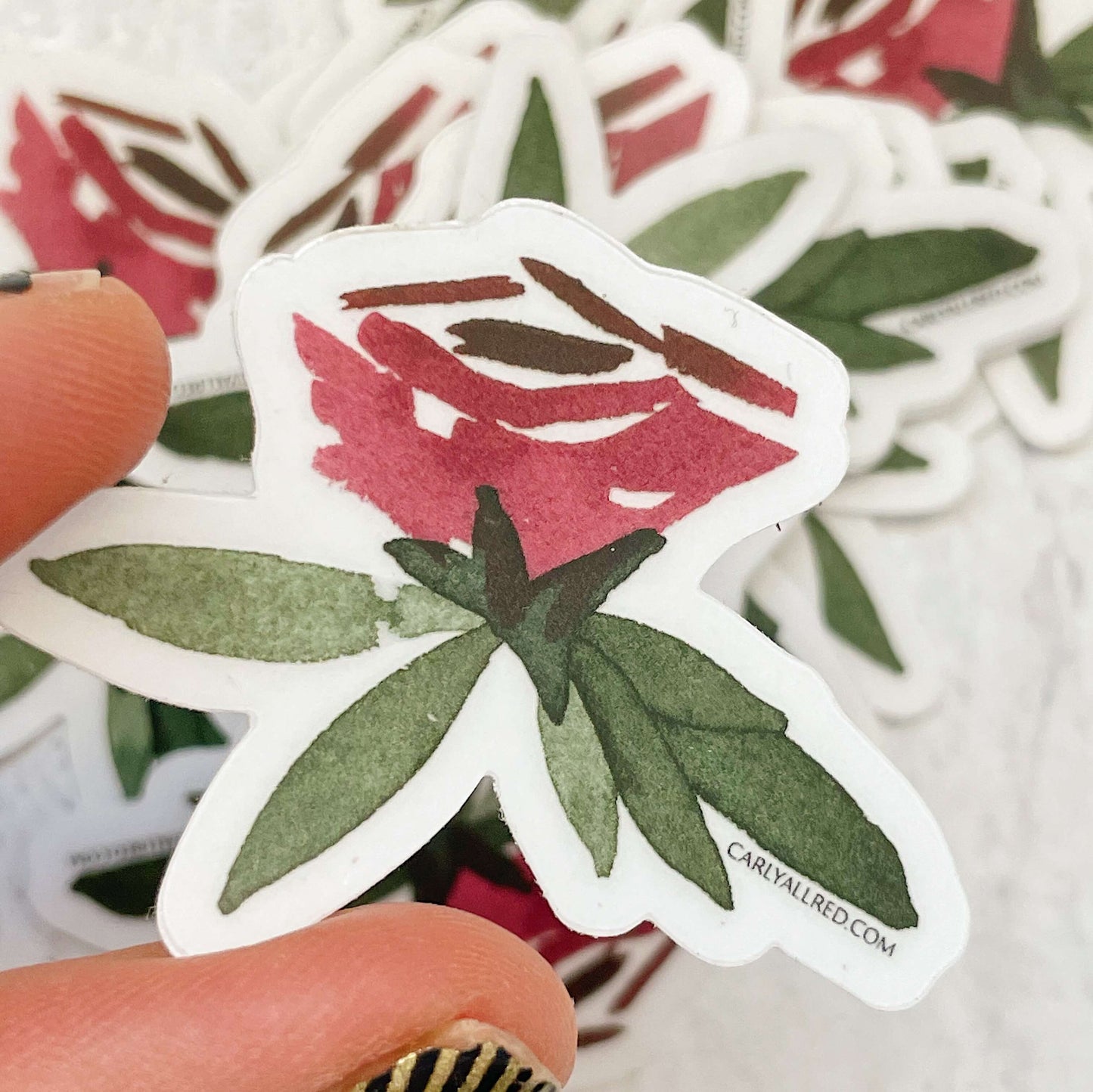 Watercolor Stickers - Transparent Back