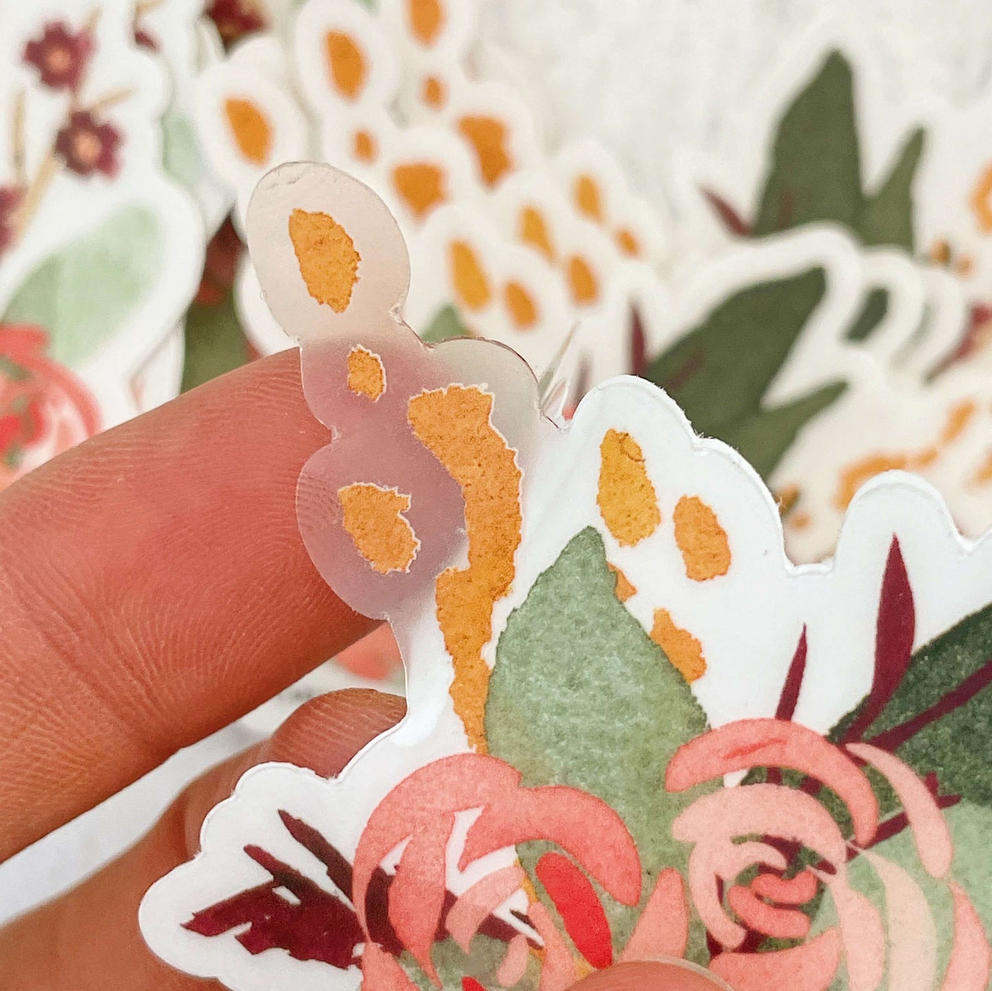 Watercolor Stickers - Transparent Back
