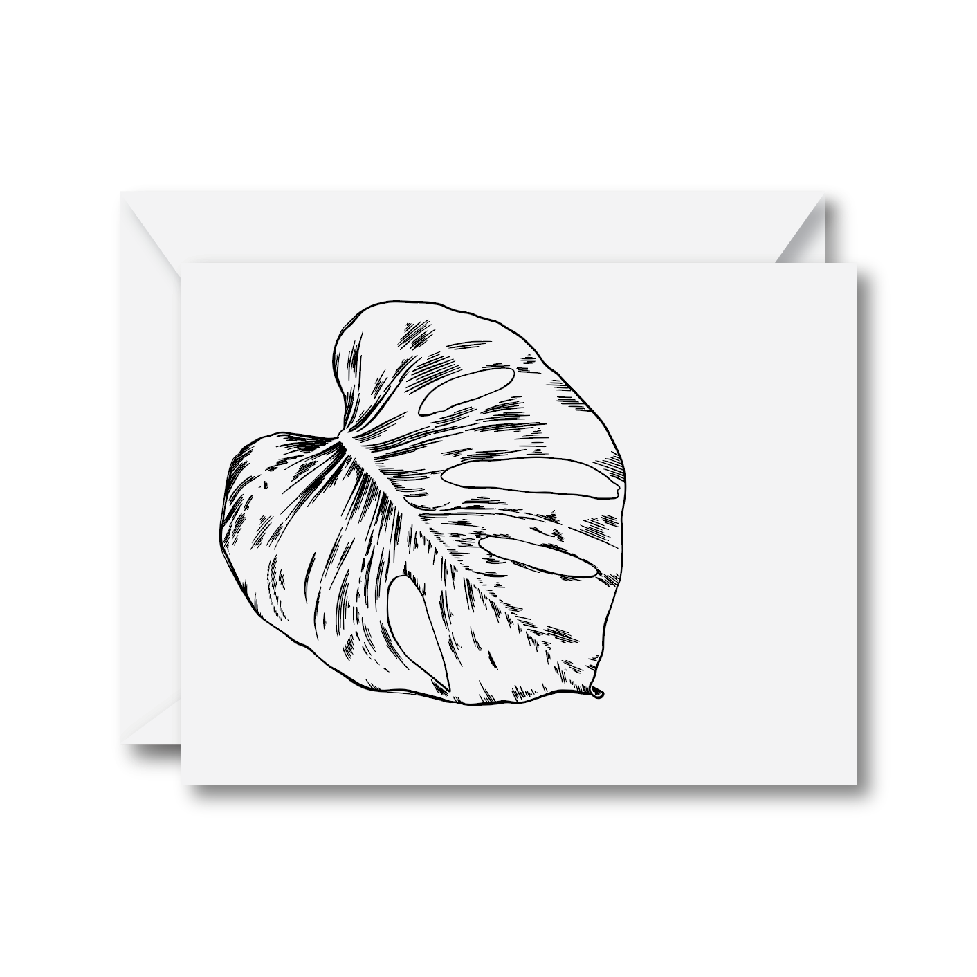 Monstera Leaf Greeting Card