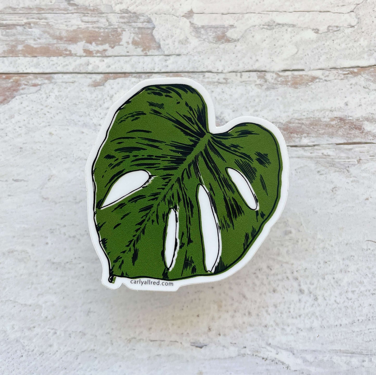 Monstera Vinyl Sticker