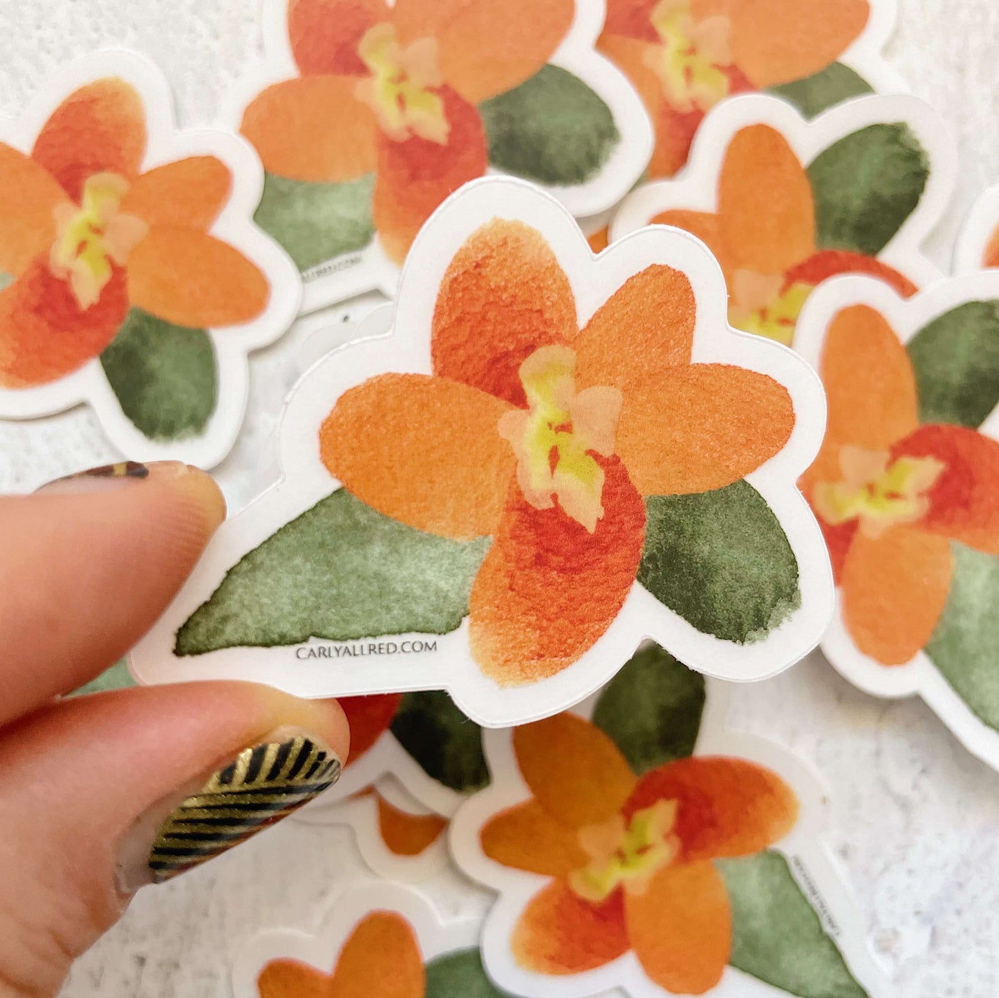 Watercolor Stickers - Transparent Back