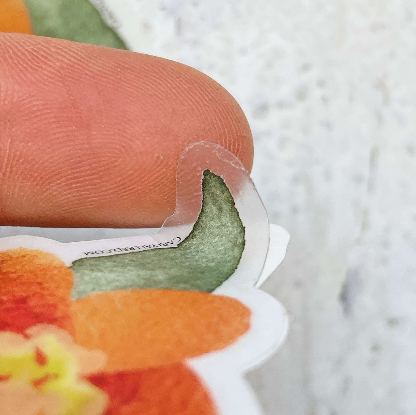 Watercolor Stickers - Transparent Back