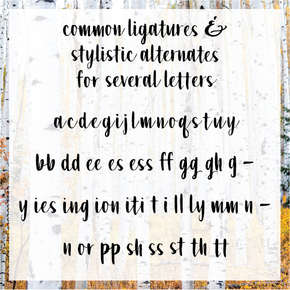 A Place Called Aspen Typeface