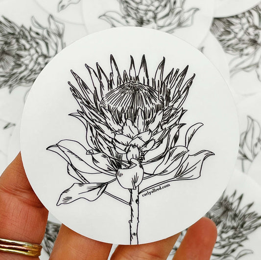 Transparent Protea Vinyl Sticker