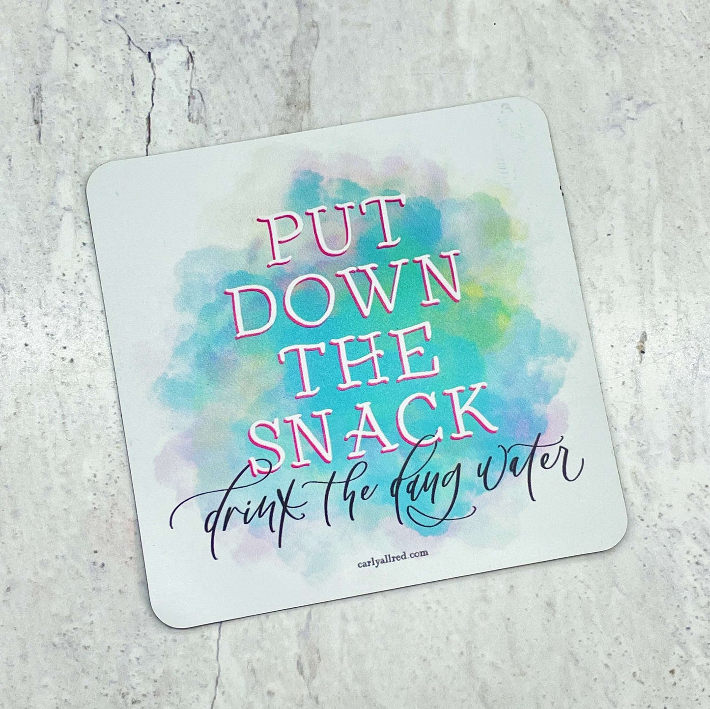 Put Down the Snack Drink the Dang Water Magnet