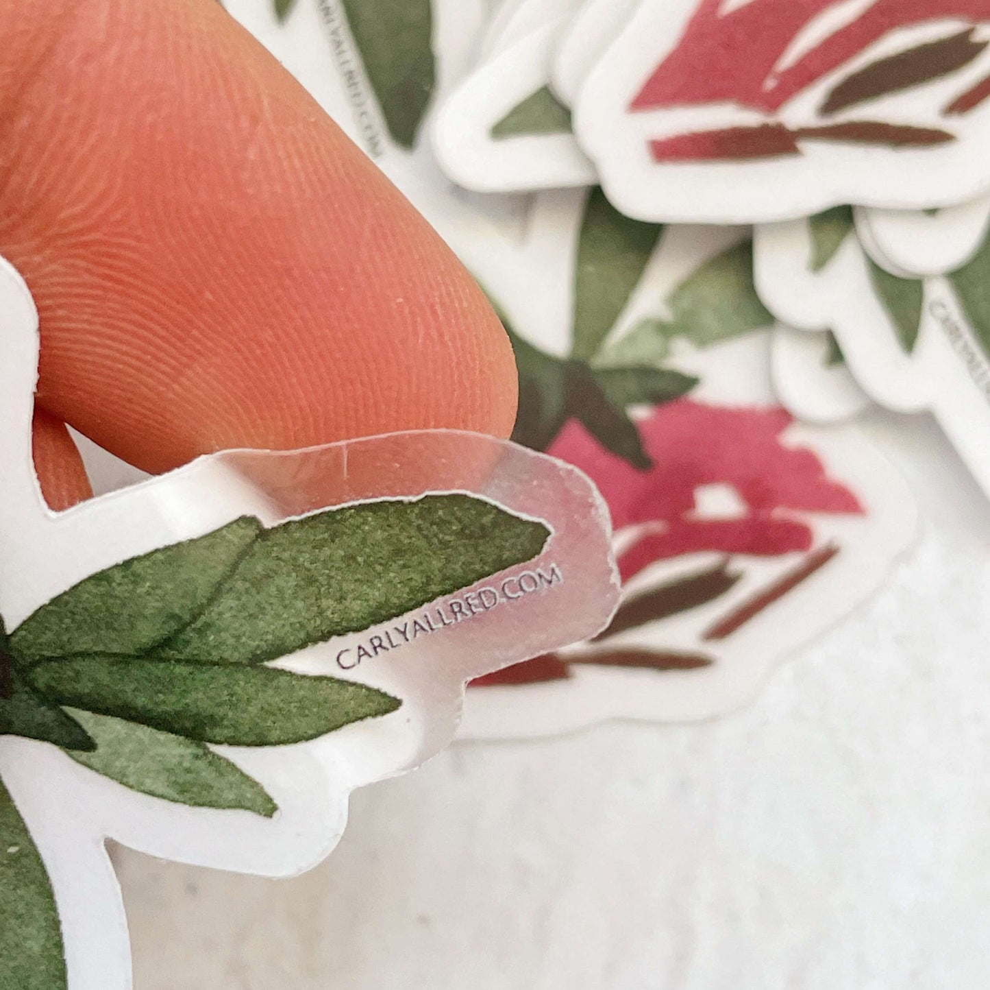 Watercolor Stickers - Transparent Back