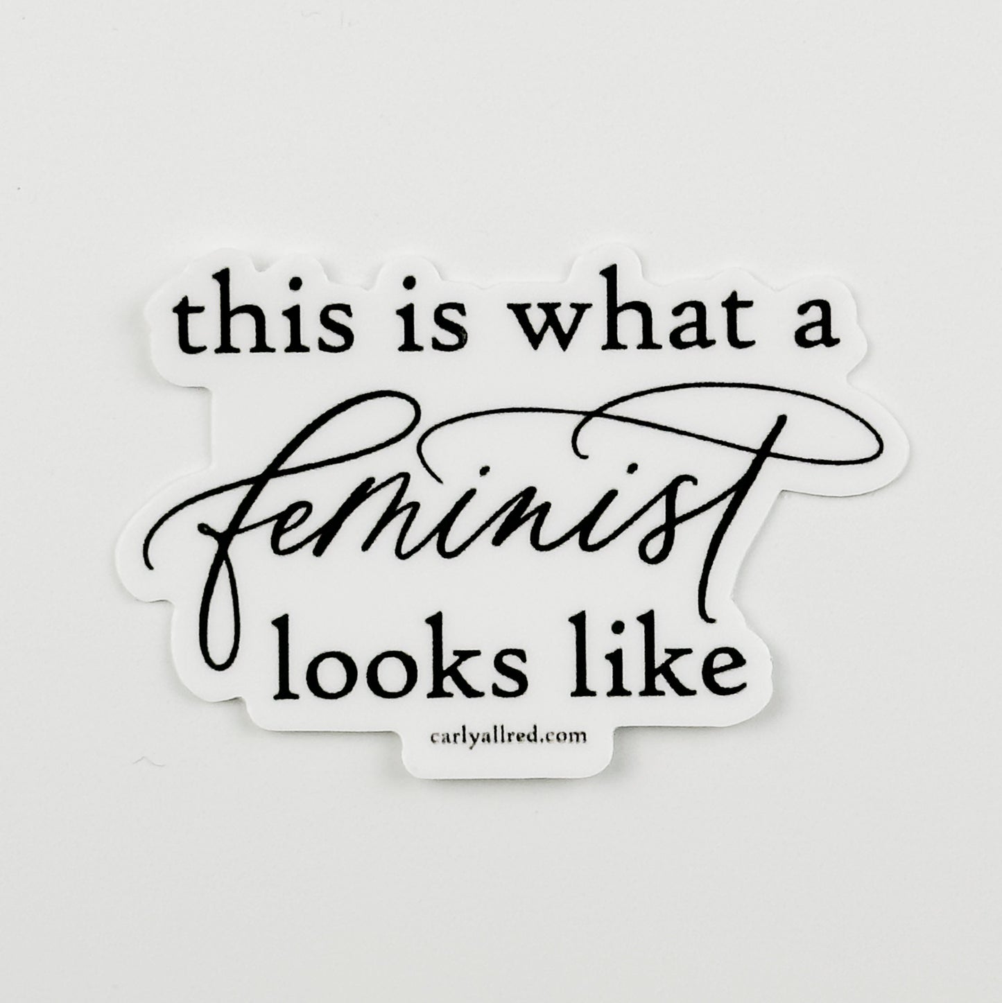 This is What a Feminist Looks Like Vinyl Sticker