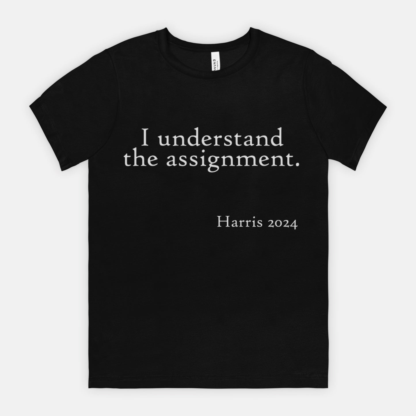 I Understand the Assignment Harris 2024 Political Merch Tee