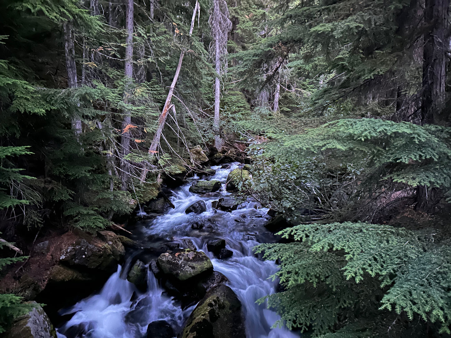 EMERGE - Reclaiming the Vision of Eve - an 8-week journey & adventure