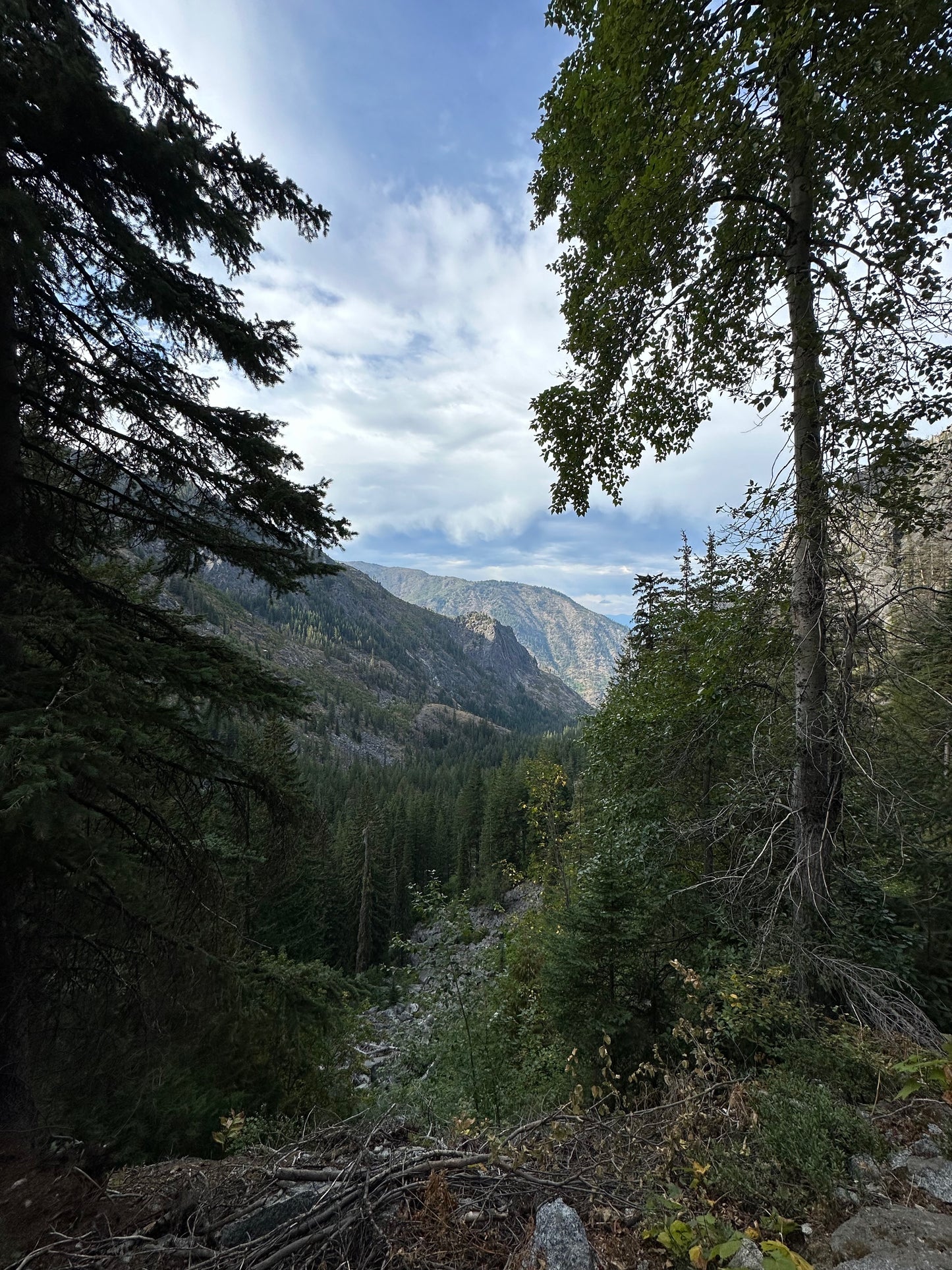 EMERGE - Reclaiming the Vision of Eve - an 8-week journey & adventure