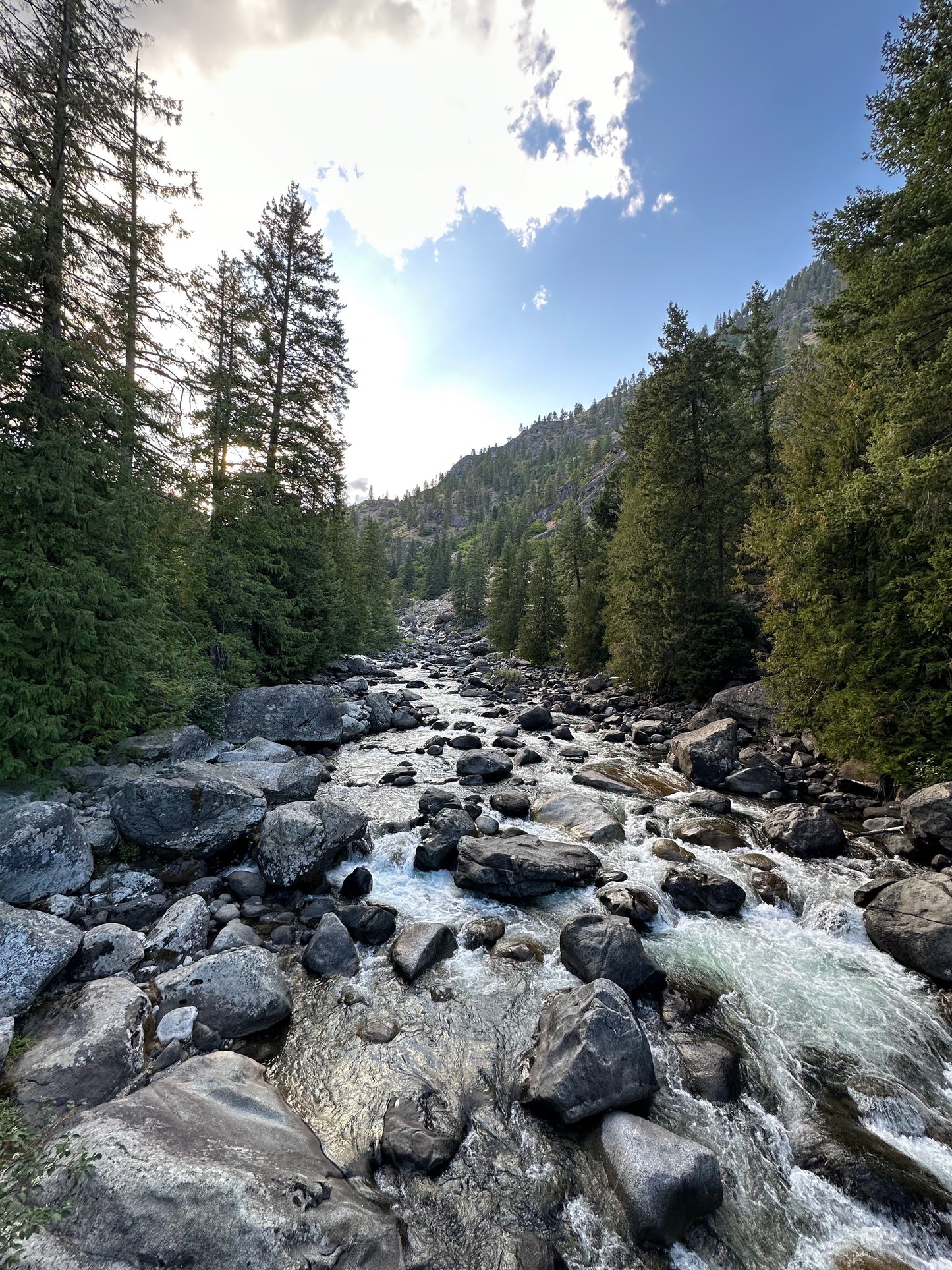 EMERGE - Reclaiming the Vision of Eve - an 8-week journey & adventure