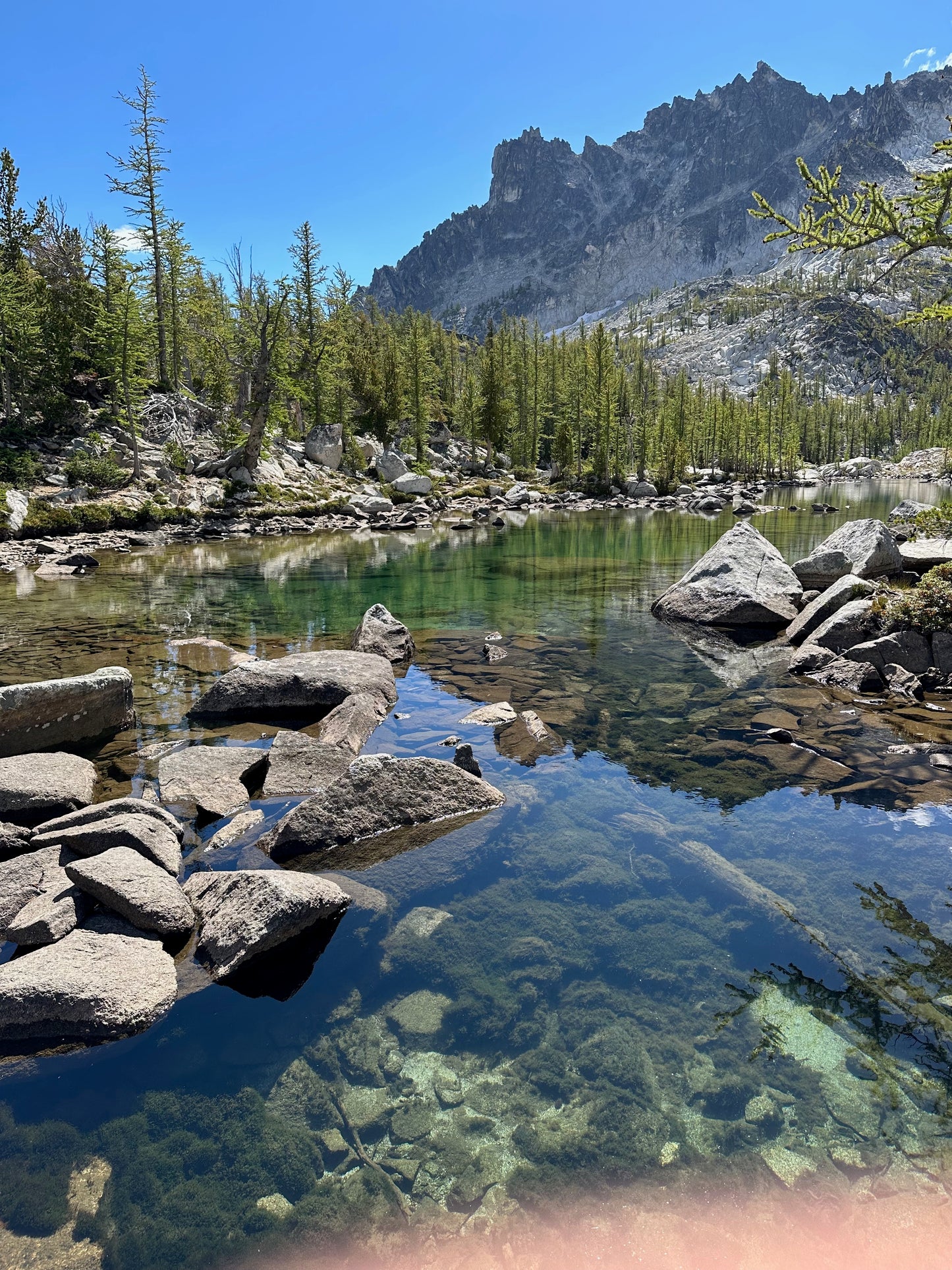 EMERGE - Reclaiming the Vision of Eve - an 8-week journey & adventure