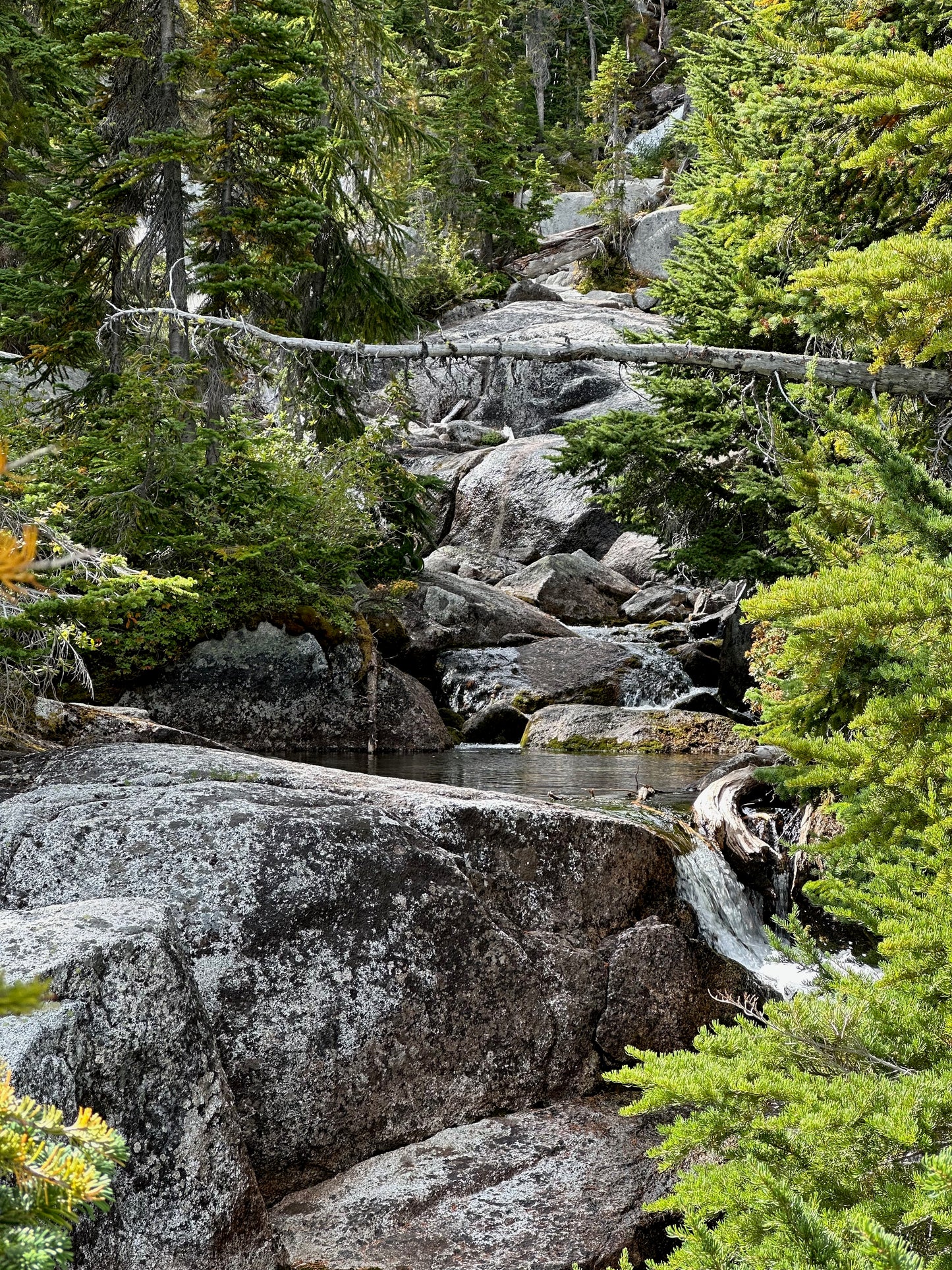 EMERGE - Reclaiming the Vision of Eve - an 8-week journey & adventure