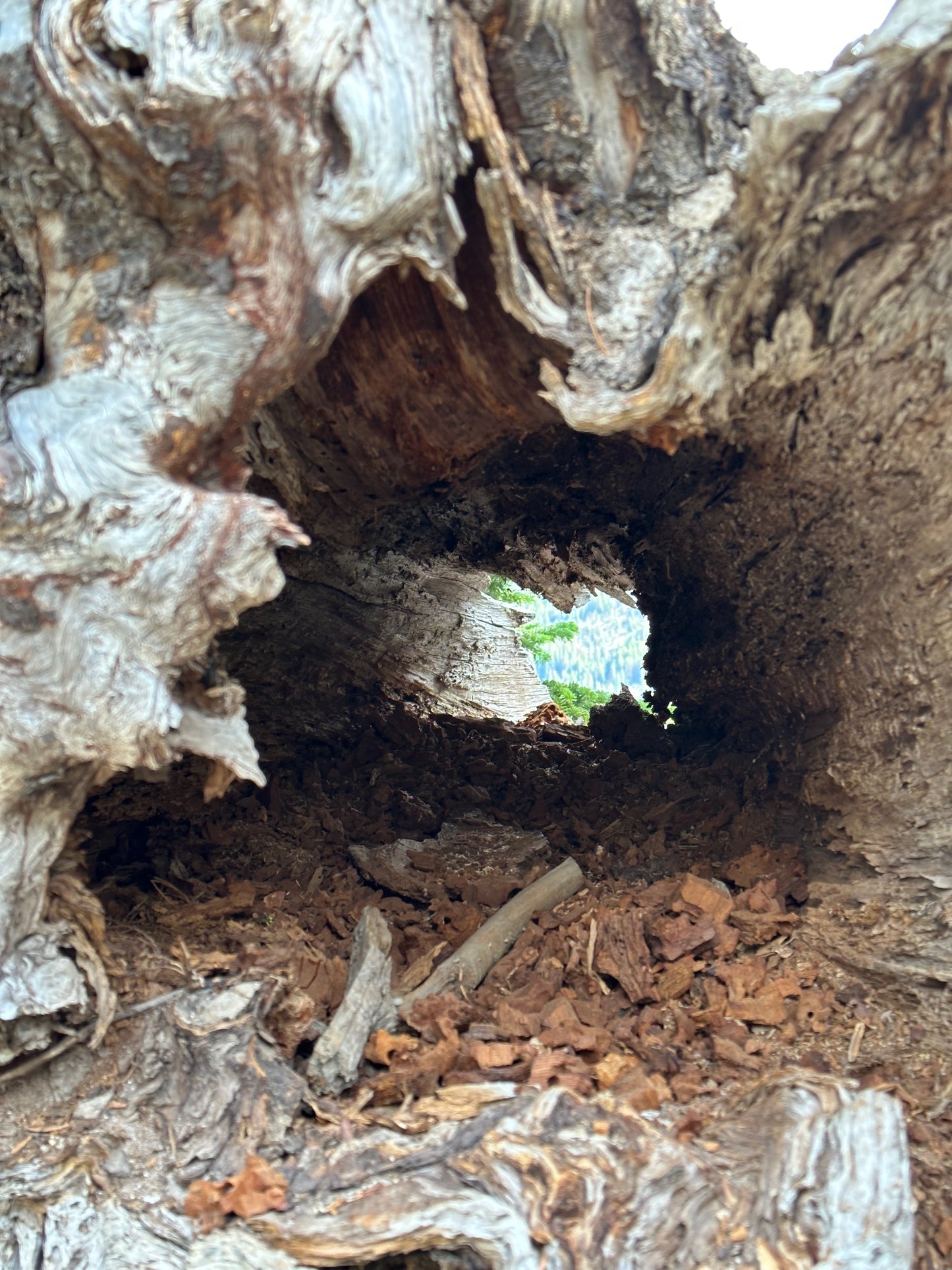 EMERGE - Reclaiming the Vision of Eve - an 8-week journey & adventure